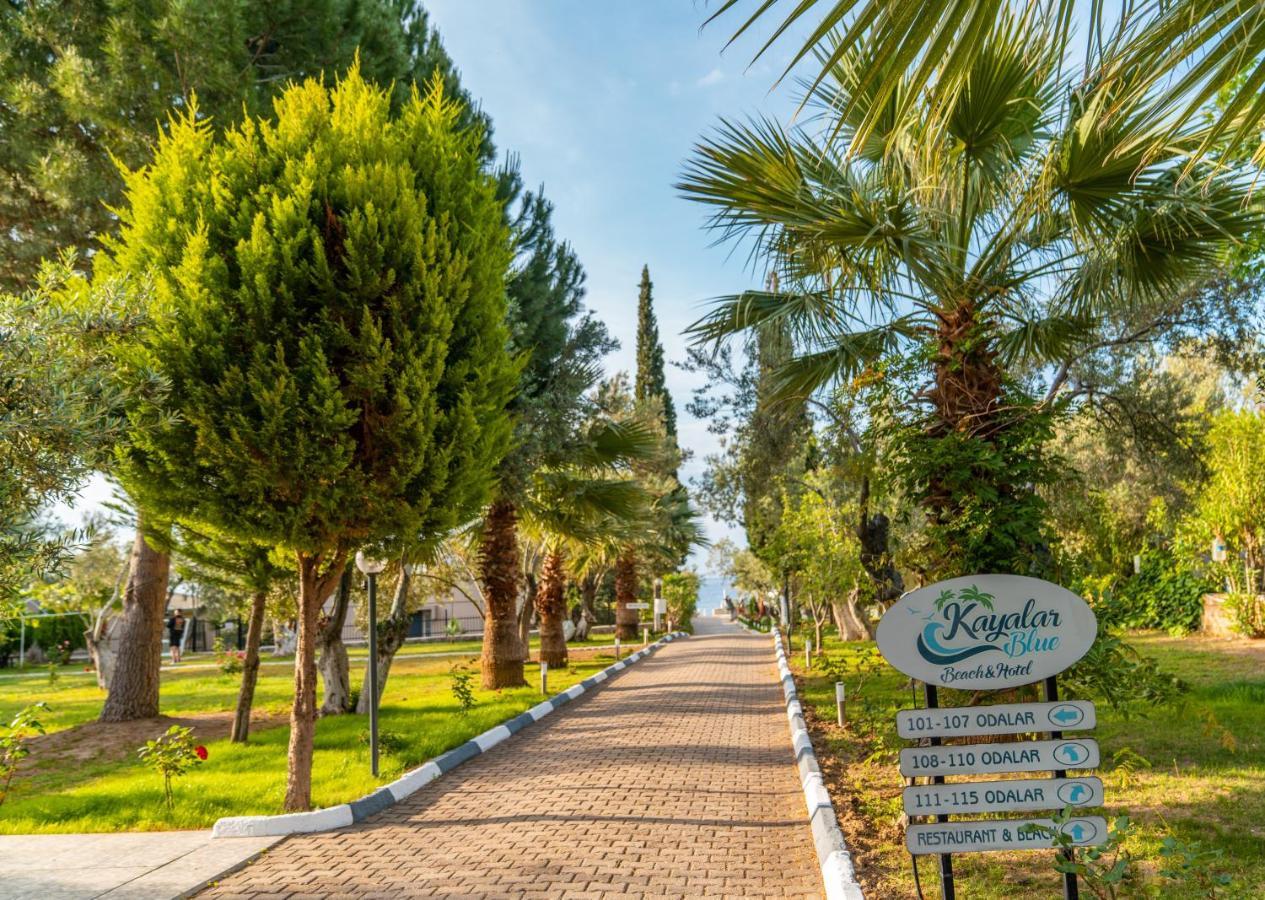 Kayalar Blue Beach Hotel Sazli ภายนอก รูปภาพ