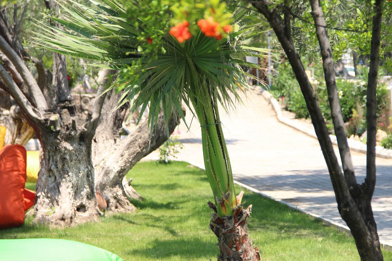 Kayalar Blue Beach Hotel Sazli ภายนอก รูปภาพ