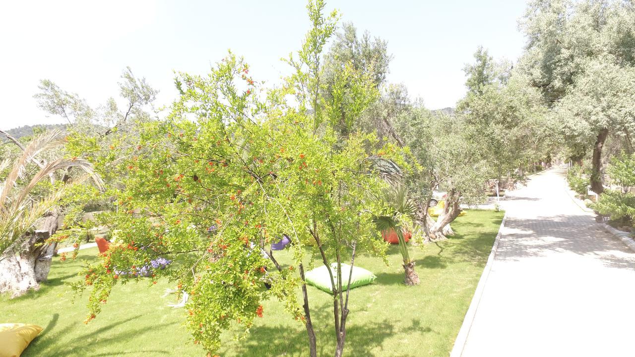 Kayalar Blue Beach Hotel Sazli ภายนอก รูปภาพ