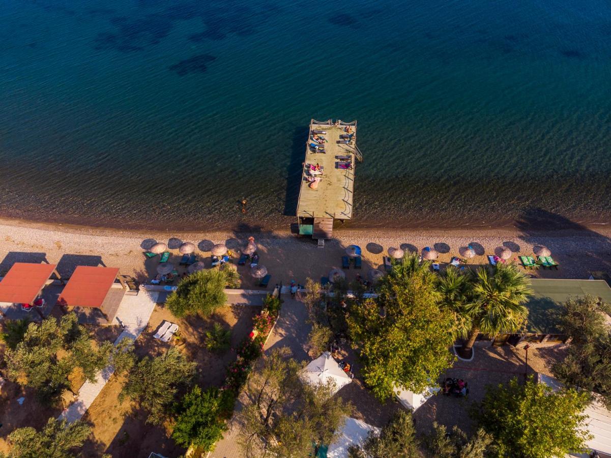 Kayalar Blue Beach Hotel Sazli ภายนอก รูปภาพ